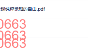 299.觉醒书院公众号 阿迪亚香提课程（网盘播放）