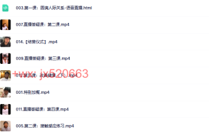 637.觉醒书院 Dalson _ 做自己的人生造梦师进阶课课程（在线观看）