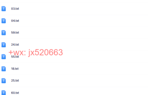 txt课程（网盘课程）