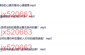 磁场渗透 Q&A2课程（百度网盘在线观看）