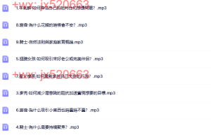 第四集指导会课程（网盘课程）