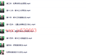 819全息【成人松果体激活】超高能6.0版课程（百度网盘在线下载）