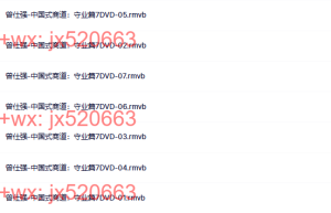 中国式商道：守业篇7DVD课程（百度网盘在线下载）