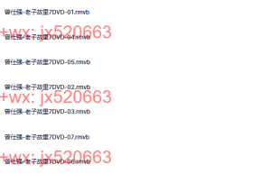 【曾仕强】–老子故里课程（网盘下载）