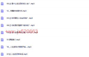 第7套：认知必修《人生游戏指南》课程（百度网盘观看）