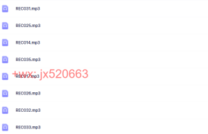 201112上海-格西麦克课程（网盘播放）