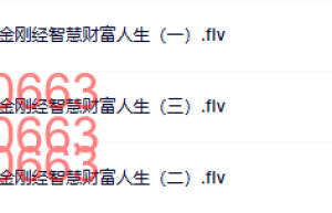 2011年·北京·金刚经智慧财富人生-格西麦克课程（百度网盘课程）