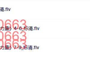 修炼当下的力量课程（网盘观看）