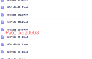 当下的力量课程（网盘观看）