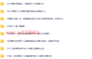 102行动派-把个人品牌做好（完结）课程（百度网盘在线下载）