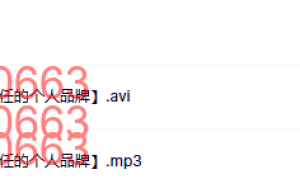 14 L9【做好细节，打造令人信任的个人品牌】课程（百度网盘下载）