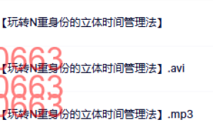 17刘鑫【超级分身术】项霜飞【玩转N重身份的立体时间管理法】课程（在线下载）