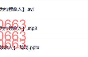 08 L4 琦琦【个人品牌价值如何转化为持续收入】课程（百度网盘在线观看）