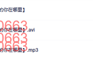 20 潘玲竹【现在的你决定以后的你在哪里】课程（网盘播放）