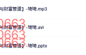 11 L6【如何通过学习放大价值与财富管道】-琦琦课程（网盘课程）