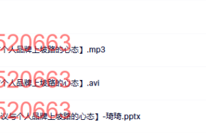 12 L7【如何面对争议与个人品牌上坡路的心态】课程（网盘课程）