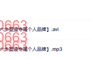 13 L8【从零开始构建影响力，六步塑造专属个人品牌】课程（网盘播放）