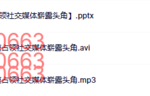 05 L3琦琦 如何通过分享，快速占领社交媒体崭露头角课程（百度网盘下载）