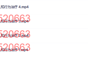 36  唐纳德·梅肯鲍姆的认知行为治疗课程（网盘课程）