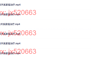 5  客体关系家庭治疗课程（网盘课程）