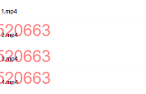 14 未处理丧事的后遗症课程（网盘下载）