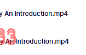 3  伴侣治疗：入门课程（百度网盘观看）