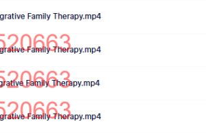 12  综合家庭治疗课程（百度网盘观看）