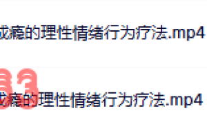 30  成瘾的理性情绪行为疗法课程（百度网盘下载）