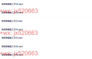 高级隐喻第三天课程（网盘课程）