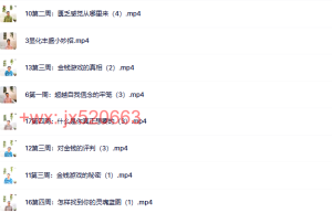 842. 24年西塔文化 30天显化丰盛课程（网盘课程）