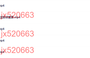 财富蓝图编程师课程（网盘课程）