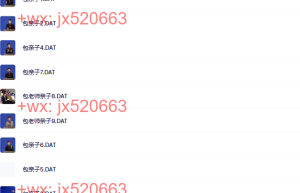 148包剑英亲子教育视频课程（百度网盘观看）