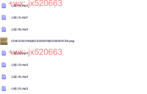 592心经  张庆祥课程（百度网盘在线下载）