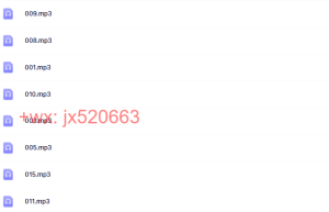 3、玛丽莲 《国际卓越家庭教练》培训高清录音课程（百度网盘下载）