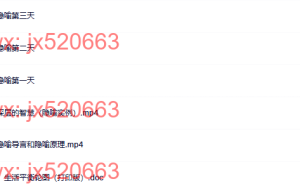 6、玛丽莲阿特金森 埃里克森式催眠-高级隐喻课程（网盘课程）