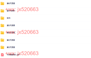 5、玛丽莲4D团队领导力课程录音及板书（深圳6天课程）课程（网盘下载）