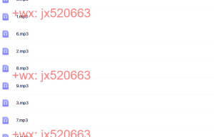 2011-12-31录音（5）课程（网盘课程）