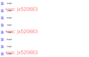 2011-12-29录音（3）课程（百度网盘下载）