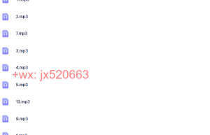 2011-12-27录音（1）课程（在线下载）