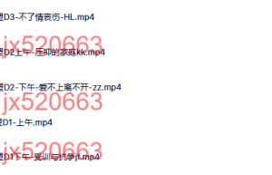 690家庭重塑-杨7.28-30课程（网盘播放）