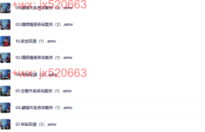 11.第十一章催眠治疗案例教学课程（百度网盘在线下载）