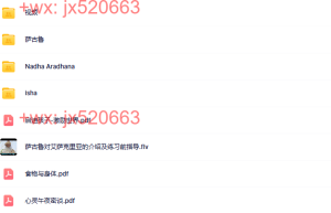 萨古鲁-艾萨瑜伽课程（百度网盘下载）