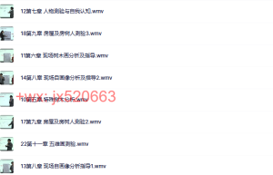 视频课程 严虎-绘画治疗视频课程（百度网盘课程）