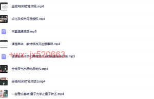 丰盛金钱灵气™国际认证课程（百度网盘在线观看）