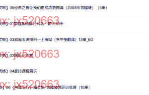 022.海灵格家庭排列6套课程（在线下载）