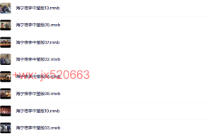 【海灵格】03家庭系统排列—上海站（李中莹翻译）13集_6G课程（网盘观看）