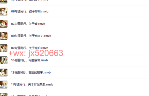 海灵格】06《与道同行》海灵格-吉隆坡国际训练营（15集）课程（网盘观看）
