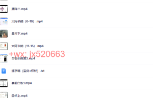 760龙女塔罗(视频课程)课程（网盘课程）