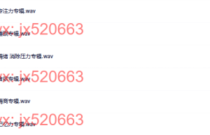 α脑波音乐全集课程（网盘观看）