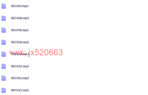 录音课程（网盘课程）